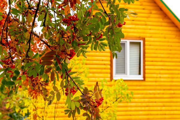 Garden Window Replacement in Conroe